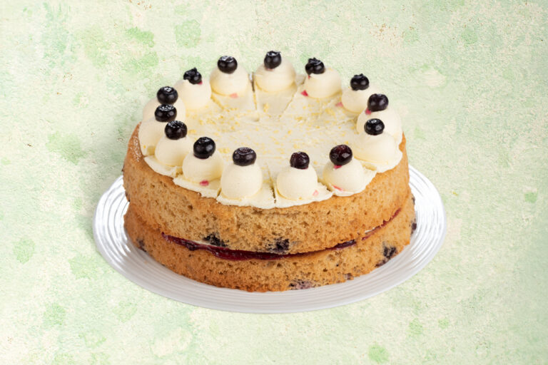 Vegan blueberry and lemon cake with lemon icing.