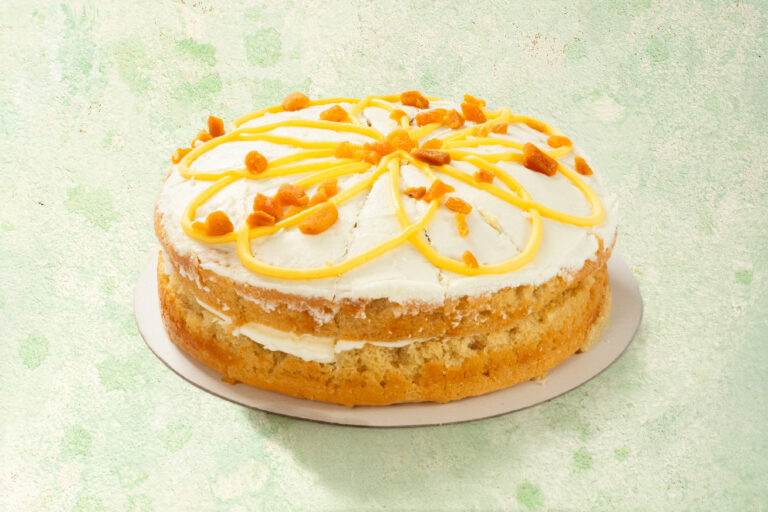 Vegan St Clement's cake with orange and lemon icing.